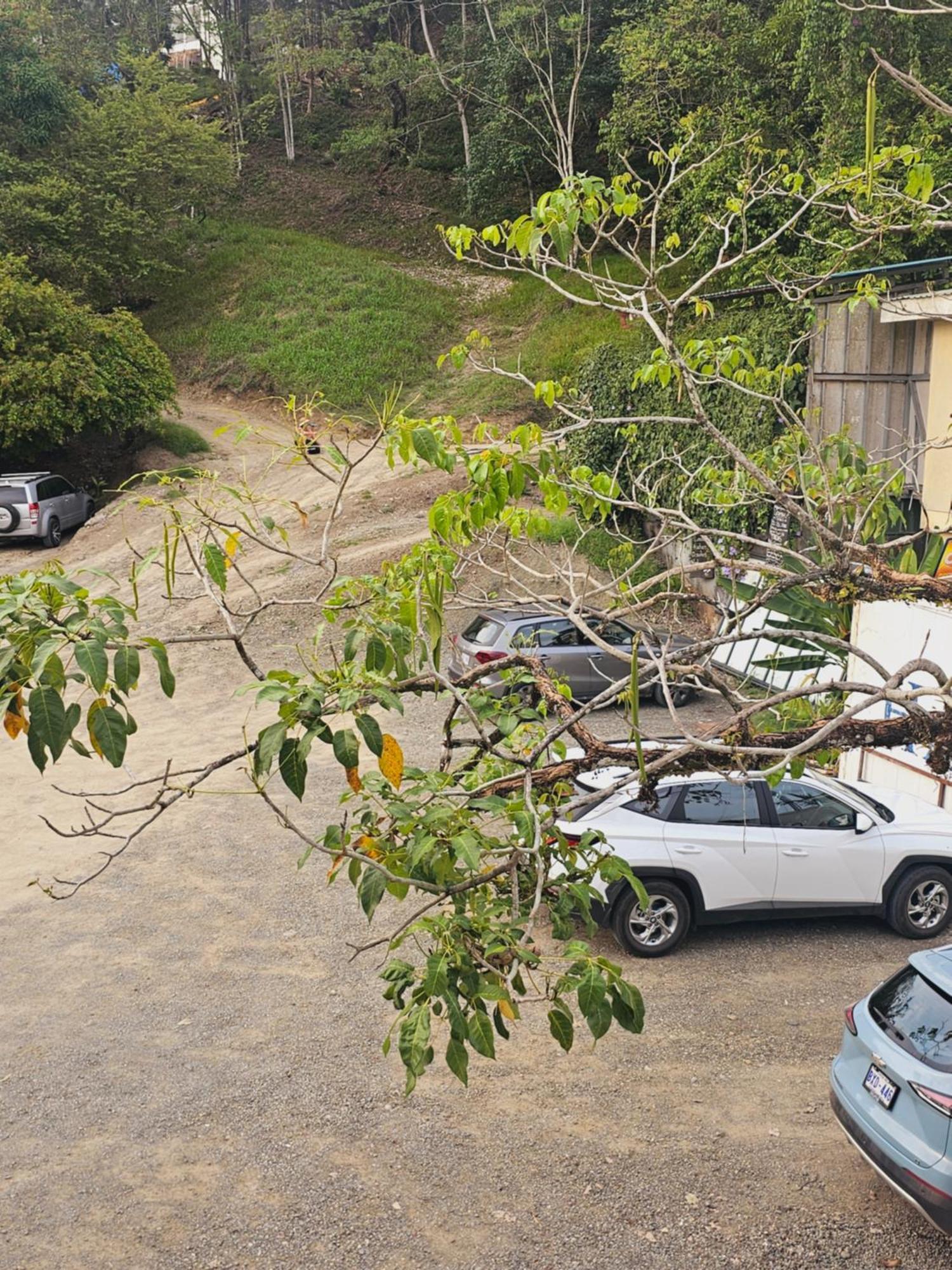 Pura Vida Apartments 케포스 객실 사진